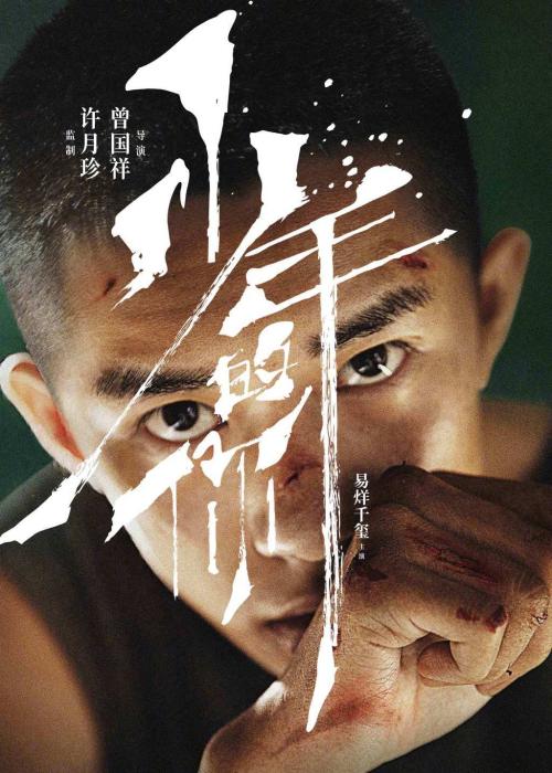 个人去日本要存款证明吗